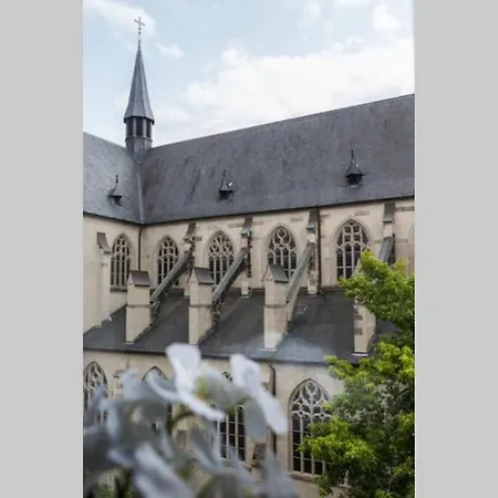 Beautiful Cozy 1-room Apartment, Near Rhine Apartamento Düsseldorf